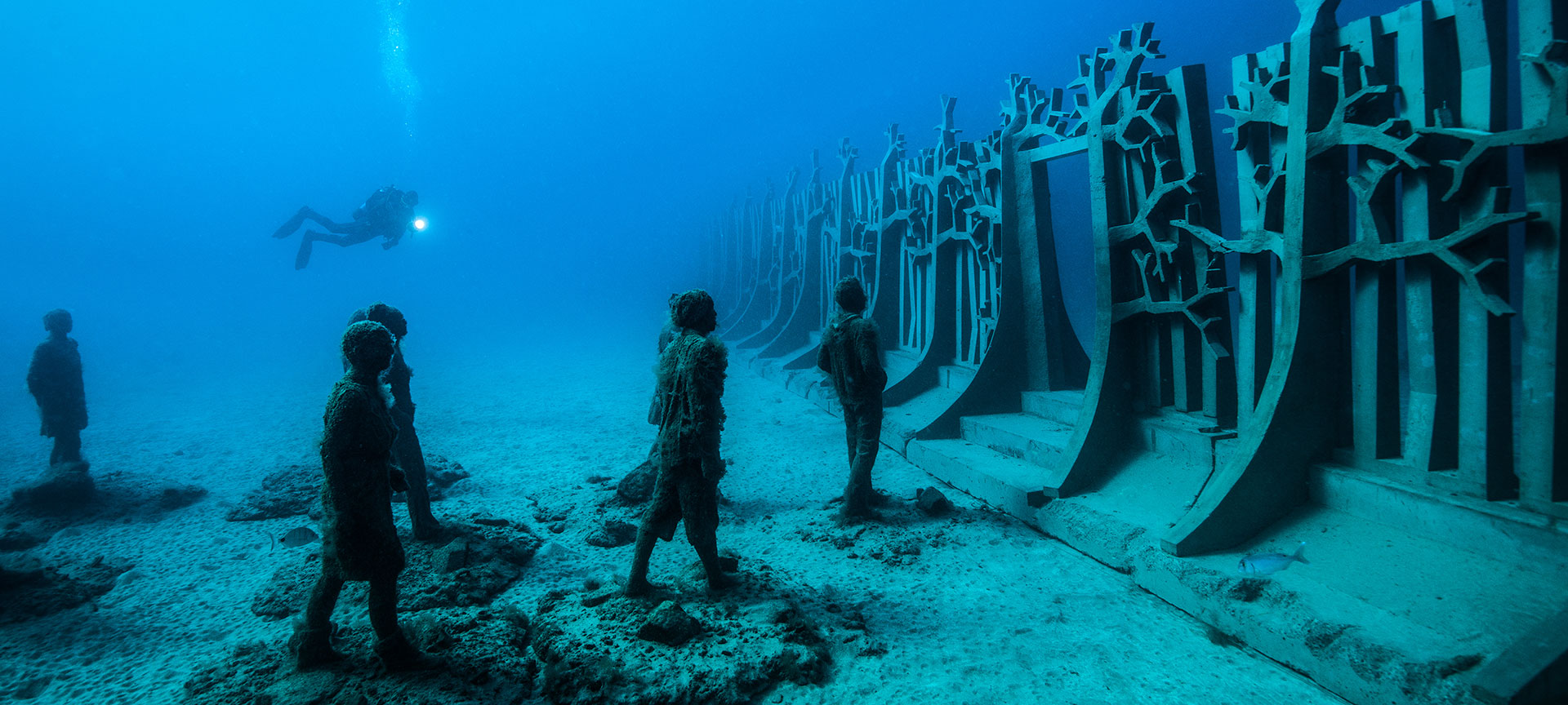 Buceo en el Museo Atlántico de Lanzarote Indigo Expediciones